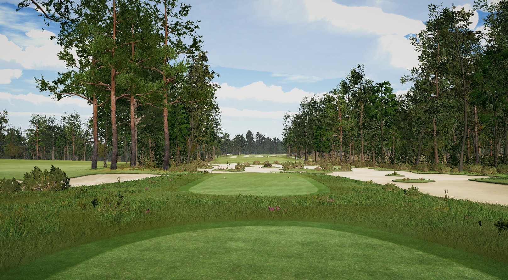 Pine Valley