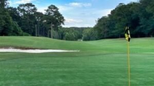 Willow Oaks Golf Club