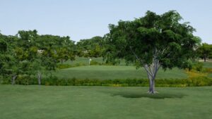 Louse Creek Country Club