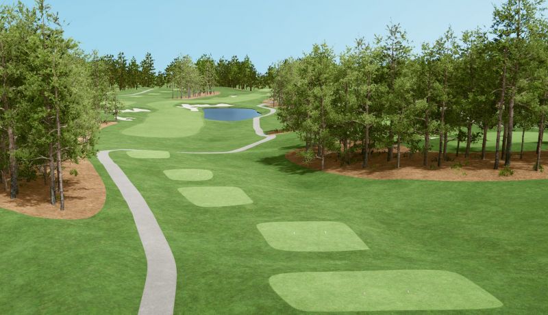 The Frog Golf Club