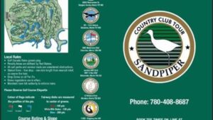 SandPiper
