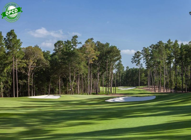 Bluejack National