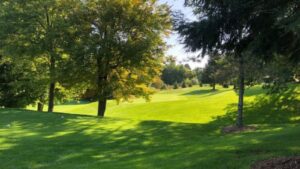 Heather Hills