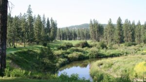 The Creek At Qualchan